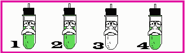 green test tube, green test tube, white test tube, green test tube