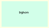 big horn written very small