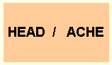H E A D / A C H E